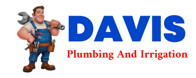 Trusted plumber in MENDOTA